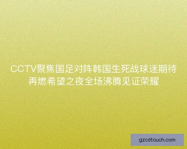 CCTV聚焦国足对阵韩国生死战球迷期待再燃希望之夜全场沸腾见证荣耀