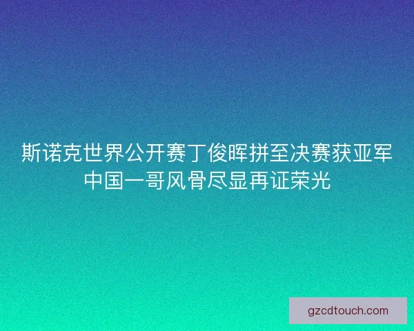 斯诺克世界公开赛丁俊晖拼至决赛获亚军中国一哥风骨尽显再证荣光